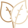 massage-therapy-icon-09